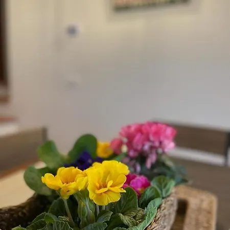 Borgo Soale Villa *