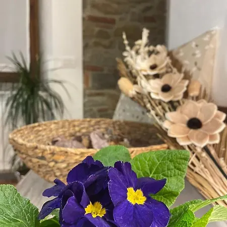 Villa Borgo Soale *
