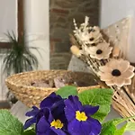 Villa Borgo Soale *