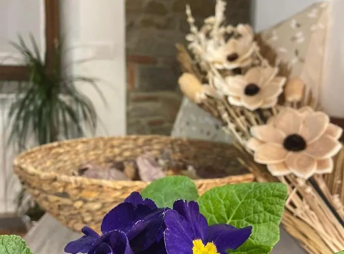 Villa Borgo Soale *